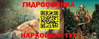 mdpv Краснознаменск