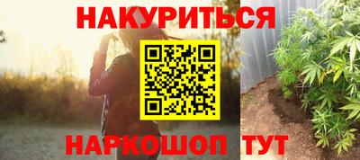 mdpv Краснознаменск