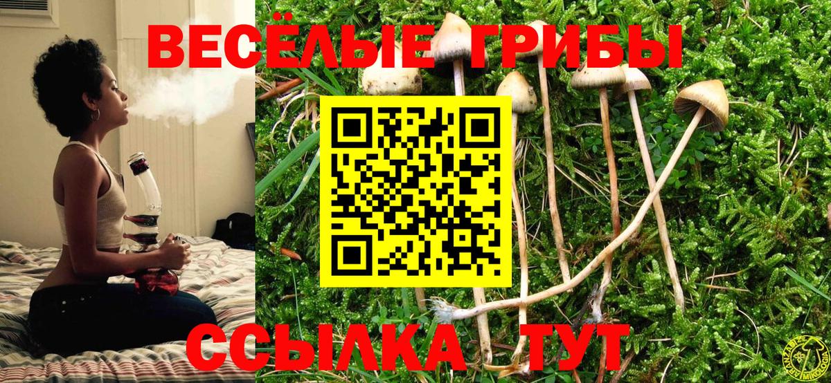ГАШИШ  МАРИХУАНА  NBOMe  Cocaine  Вход с VPN  Каменск-Шахтинский  МЕФ  