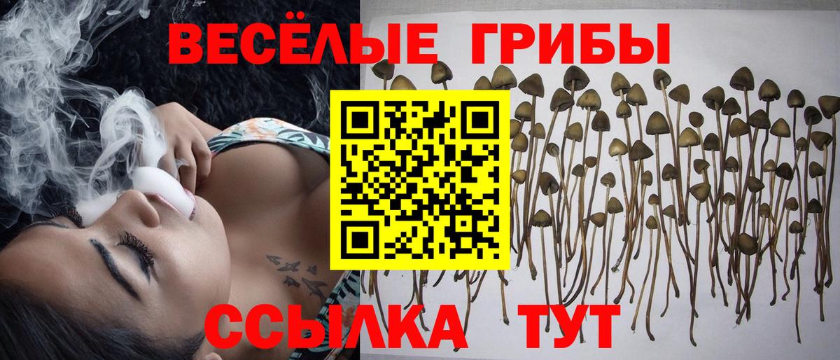 Галлюциногенные грибы мухоморы Каменск-Шахтинский