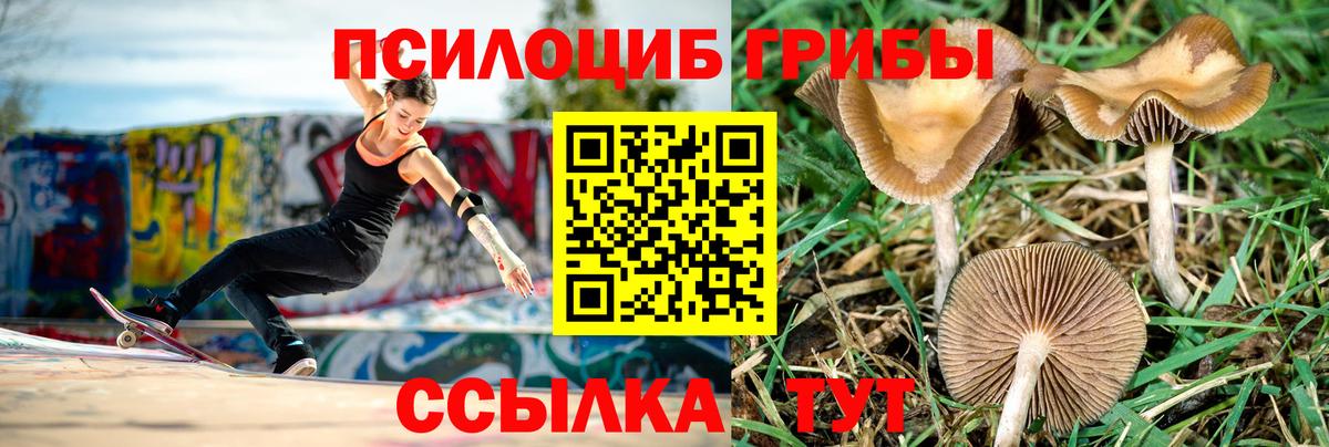 Каменск-Шахтинский  Псилоцибиновые грибы мицелий  Вход с VPN  купить наркоту  Псилоцибиновые грибы мухоморы 